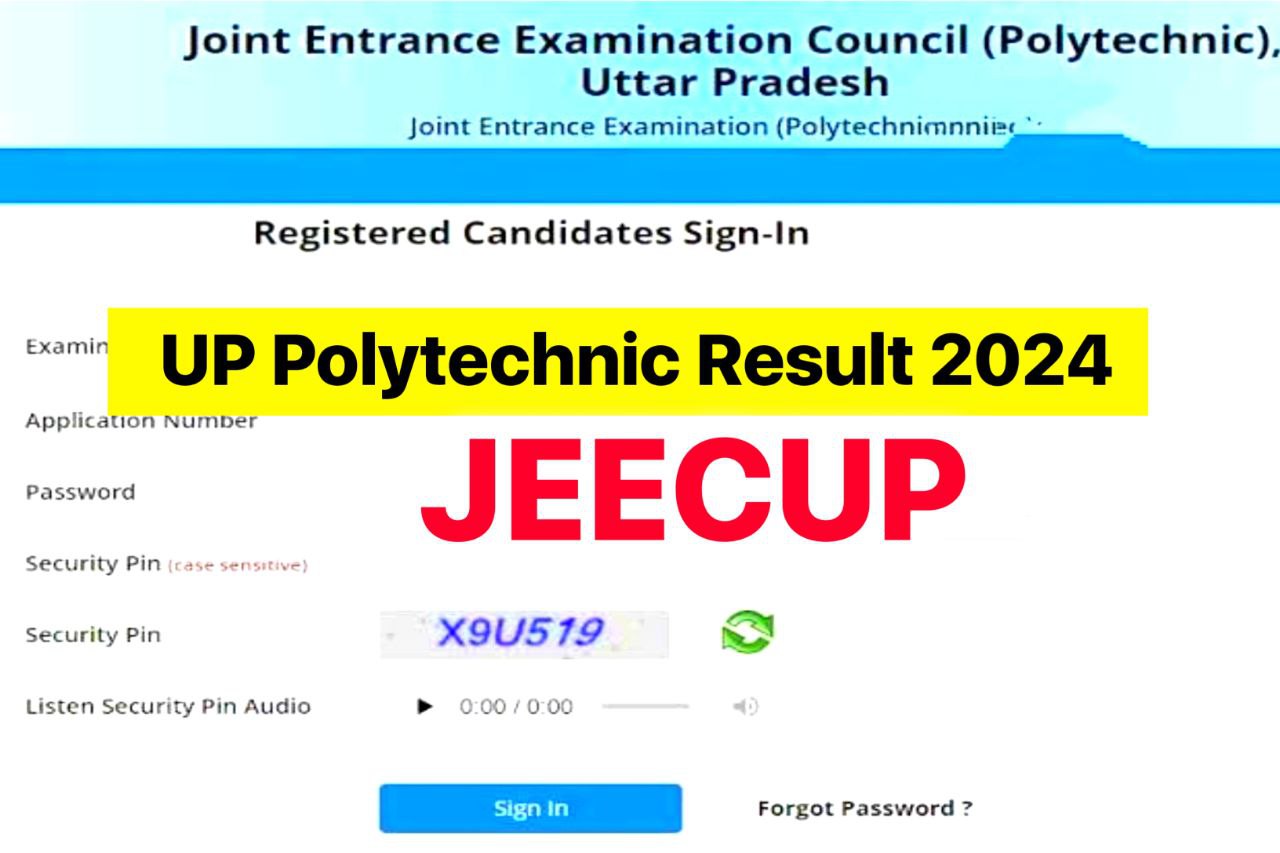 UP Polytechnic Result 2024, JEECUP Entrance Exam Results Check Rank and Marks