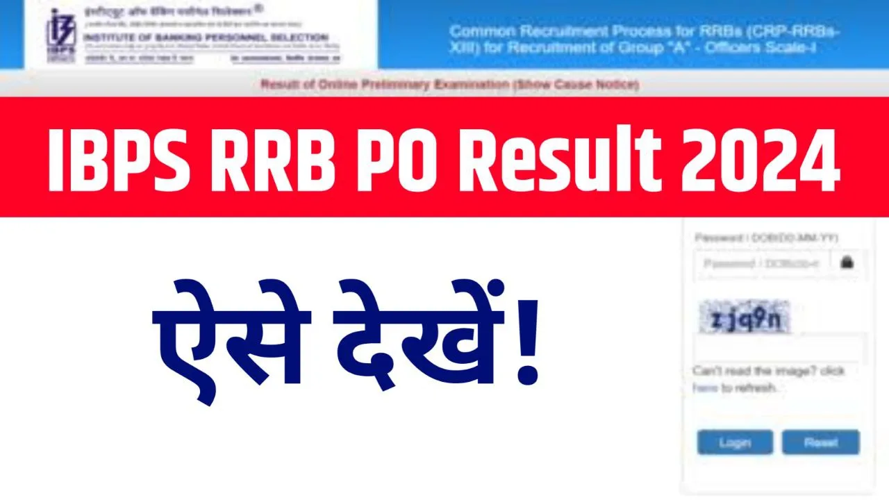 IBPS RRB PO Result 2024 Released @ibps.in, Download Link
