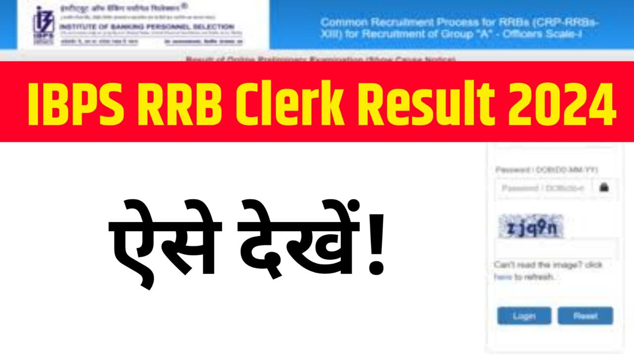 IBPS RRB Clerk Result 2024 Released @ibps.in, Download Link